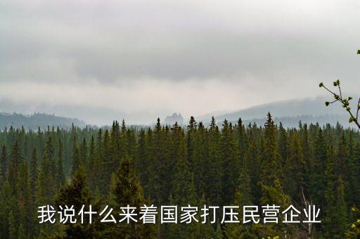 中國(guó)為什么打壓民企，我說什么來著國(guó)家打壓民營(yíng)企業(yè)