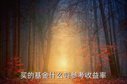 定增基金參考收益是什么意思，基金里面的參考收益率是什么