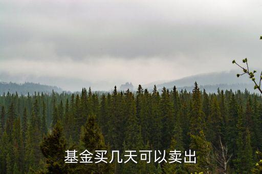 基金什么時(shí)候可以賣(mài)出，基金買(mǎi)進(jìn)后多久可以賣(mài)出