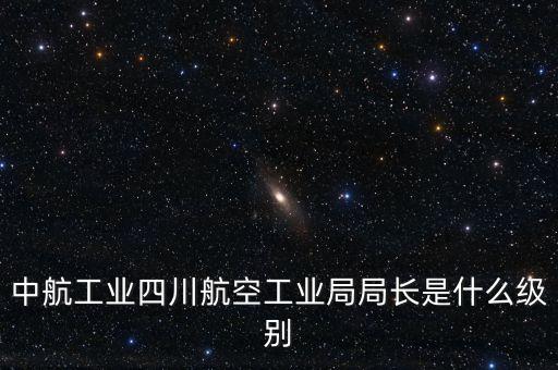 中航王斌什么級(jí)別，中航工業(yè)陜飛集團(tuán)董事長(zhǎng)是什么行政級(jí)別
