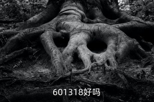 601318是什么股，601318好嗎