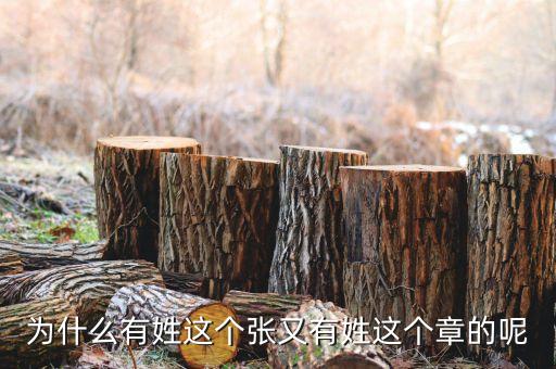 中石油黃炎什么級別，大家知道有誰姓耜