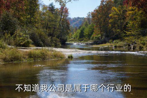 飛躍集團屬于什么行業(yè)，臺州飛 躍集團是做什么的