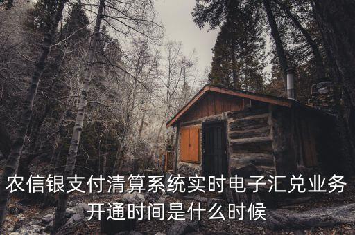 什么是特約電子匯兌，各位大神請問有誰知道建行卡交易明細清單上寫的特約匯融