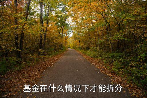 165523基金什么時(shí)候下拆了，基金在什么情況下才能拆分
