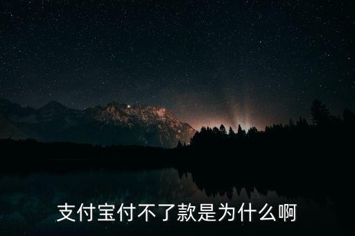 手機支付寶為什么不能付款，支付寶付不了款是為什么啊