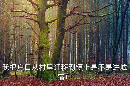 進(jìn)城落戶是什么意思，進(jìn)城務(wù)工人員隨遷子女是什么意思