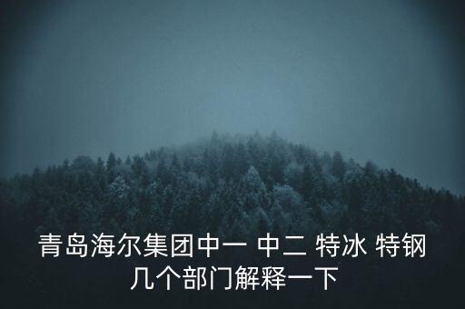海爾內(nèi)銷是什么意思，有帶鎖的冰箱么冷藏冷凍功能都要有的謝謝