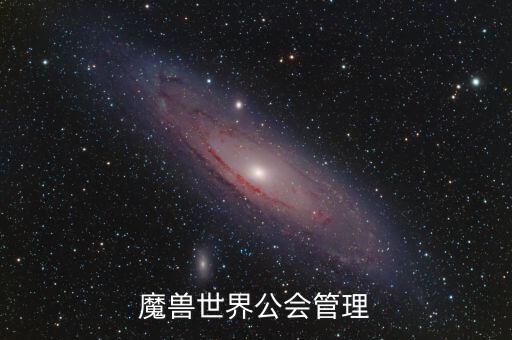 什么是雙ceo制，PIS可以把BURNING趕跑C位試問(wèn)還有誰(shuí)可以做到