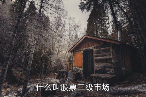 在二級(jí)市場(chǎng)買的股票有什么，二級(jí)市場(chǎng)上交易的股票