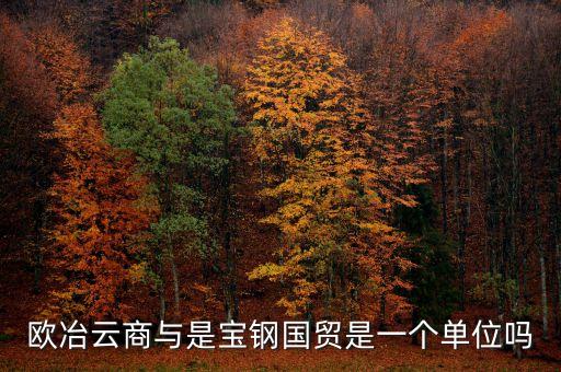 歐冶金融是什么企業(yè)，鋼鐵電商歐冶云商域名是寶鋼化還是有玄機
