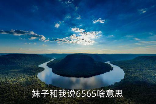 數(shù)字6565代表什么意思，妹子和我說6565啥意思
