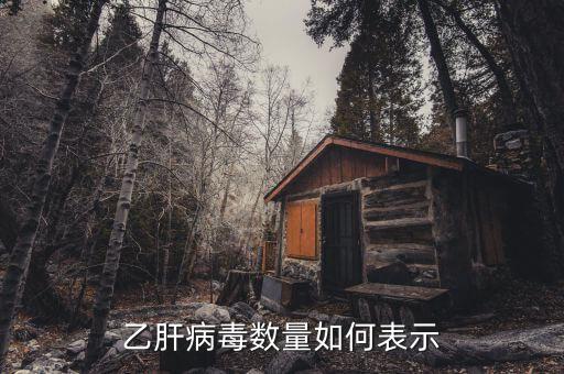 乙肝病毒20萬代表什么意思，乙肝DNA定量結果是100000是甚么意思