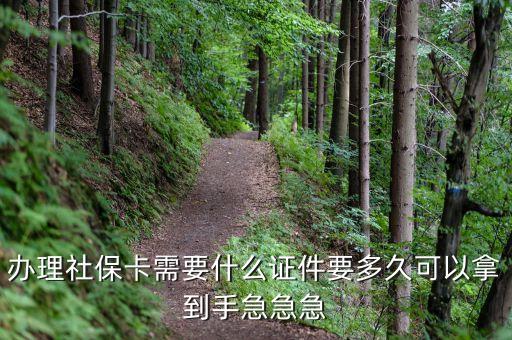 辦理社?？ㄐ枰裁醋C件要多久可以拿到手急急急