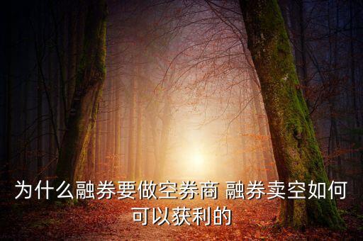 為什么融券要做空券商 融券賣(mài)空如何可以獲利的