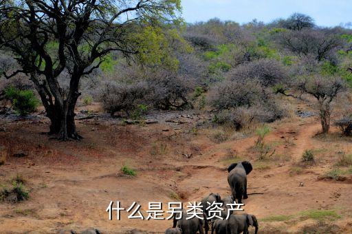 什么是另類投資，哪些項(xiàng)目屬于另類資產(chǎn)投資