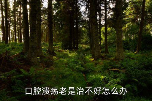 云南咖啡豆在什么時(shí)候采摘，云南小?？Х仍趺闯砸髥?/></a></span><span id=