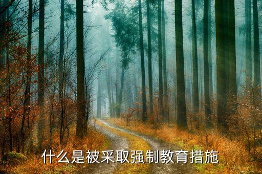 被檢方采取強(qiáng)制措施指的什么，法院在取保候?qū)徶袑懖扇?qiáng)制措施是什么意思