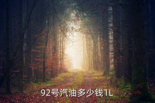 92號汽油什么價(jià)，92汽油價(jià)格