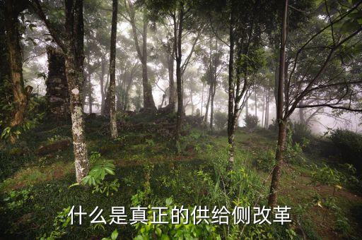 供給側(cè)改革的實(shí)質(zhì)是什么，如何理解供給側(cè)改革