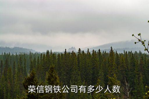 榮信電子有限公司什么時候成立，鞍山榮信電子怎么樣
