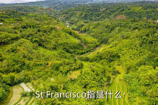 st戰(zhàn)略是什么，ST戰(zhàn)略是什么意思