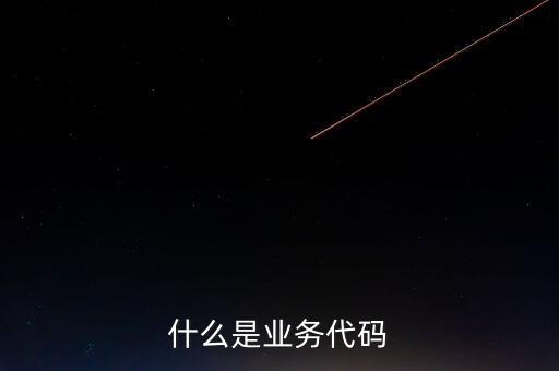 工商業(yè)務(wù)代碼是什么意思，businesscode是啥意思