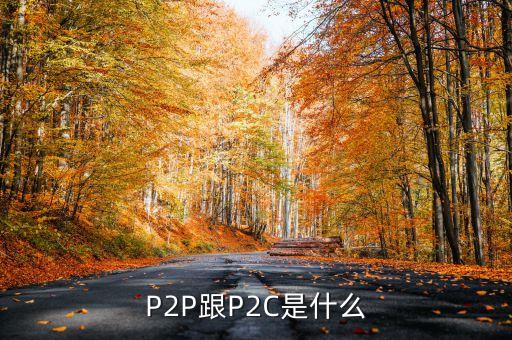 p2c平臺是什么，什么是P2P什么是P2C