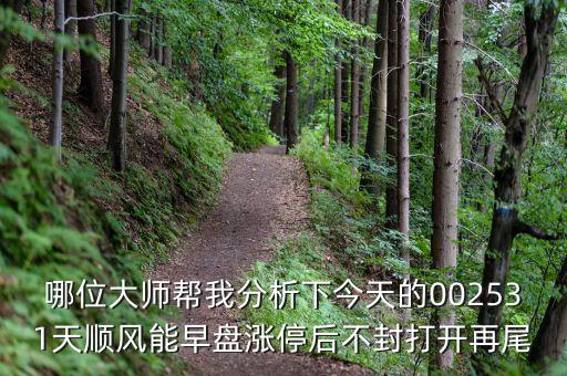 哪位大師幫我分析下今天的002531天順風能早盤漲停后不封打開再尾