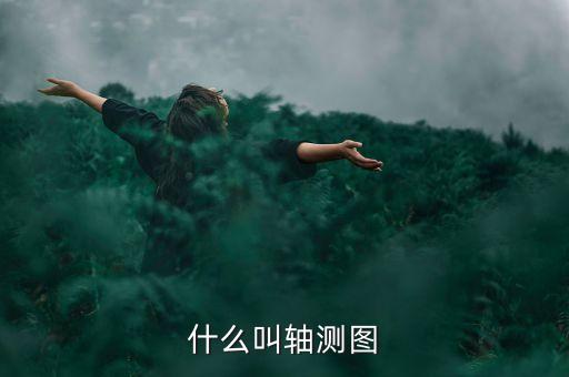 什么叫合力貸，什么叫格蘭肉