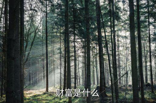 財富是什么莫奈，財富是什么