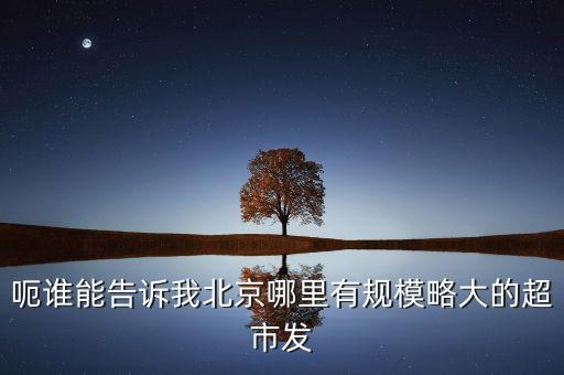 北京超市發(fā)有什么部門，呃誰能告訴我北京哪里有規(guī)模略大的超市發(fā)