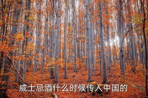 威士忌什么時(shí)候進(jìn)入中國的，洋酒是哪年進(jìn)入中國的