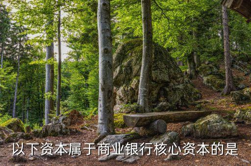 商業(yè)銀行核心資本是什么，商業(yè)銀行的核心資產(chǎn)包括哪些謝謝