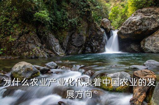 為什么要農(nóng)業(yè)產(chǎn)業(yè)化，為什么要提倡公司基地農(nóng)戶的產(chǎn)業(yè)化模式