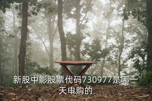 中影申購(gòu)什么時(shí)候上市，中影申購(gòu)中簽后什么時(shí)候可以賣買