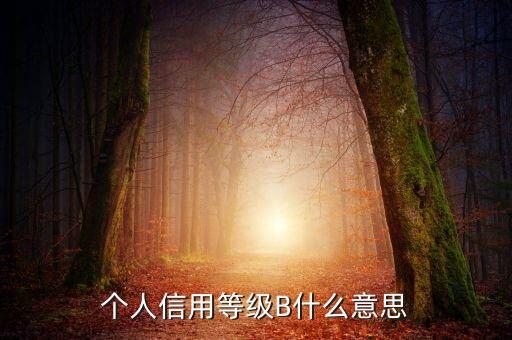 征信報告b級什么意思，中國人民銀行信用卡信用報告B級綜和評分837分啥意思