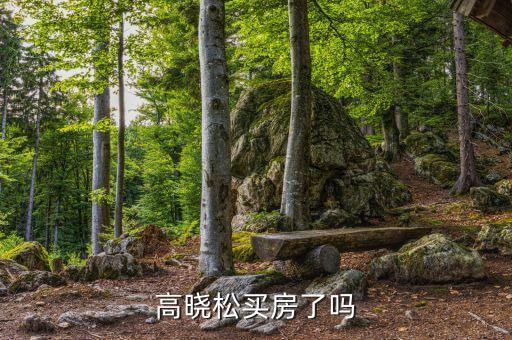 高曉松為什么不買(mǎi)房，高曉松買(mǎi)房了嗎