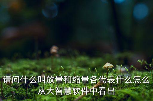 什么是放量和縮量圖片，請問什么叫放量和縮量各代表什么怎么從大智慧軟件中看出