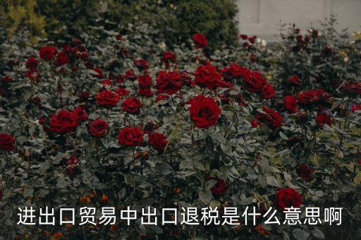 押匯退回什么意思，進(jìn)出口貿(mào)易中出口退稅是什么意思啊