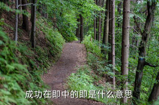成功在即是什么意思，成功在即的即什么意思