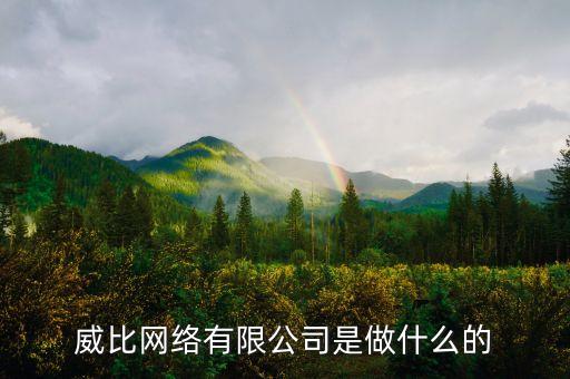 威比網絡有限公司是做什么的