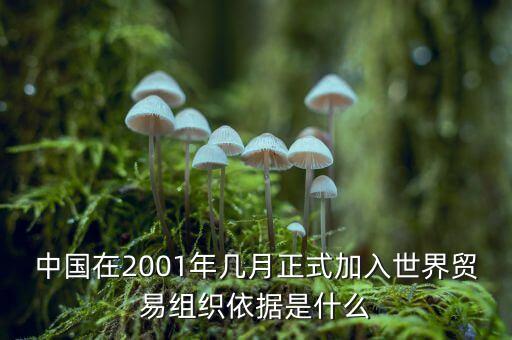 中國(guó)是什么時(shí)候加入gatt，中國(guó)是什么時(shí)間加入的