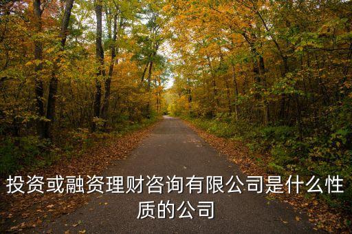 金融理財有限公司是什么性質(zhì)的，投資或融資理財咨詢有限公司是什么性質(zhì)的公司
