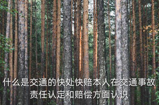 車險(xiǎn)快賠是什么，汽車快賠是什么意思
