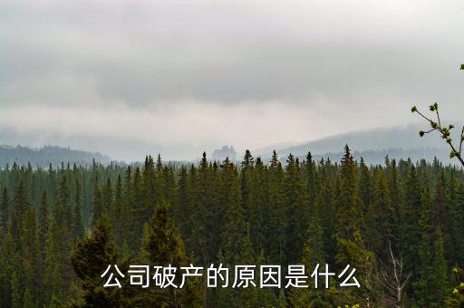 三英集團(tuán)為什么破產(chǎn)，公司破產(chǎn)的原因是什么