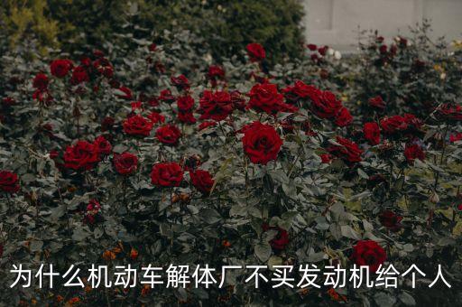 為什么機(jī)動車解體廠不買發(fā)動機(jī)給個(gè)人