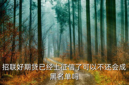 好期貸上征信怕什么，在招聯(lián)好期袋貸上面借錢都有按時(shí)歸還會上征信嗎會不會對以