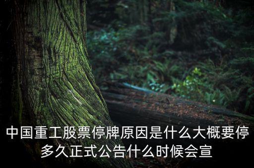 中國重工股票停牌原因是什么大概要停多久正式公告什么時(shí)候會宣