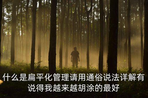 用什么先河，什么是扁平化管理請用通俗說法詳解有說得我越來越胡涂的最好